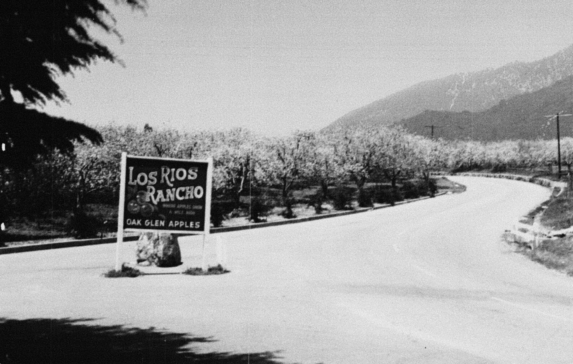 Los Rios Rancho — photo 1