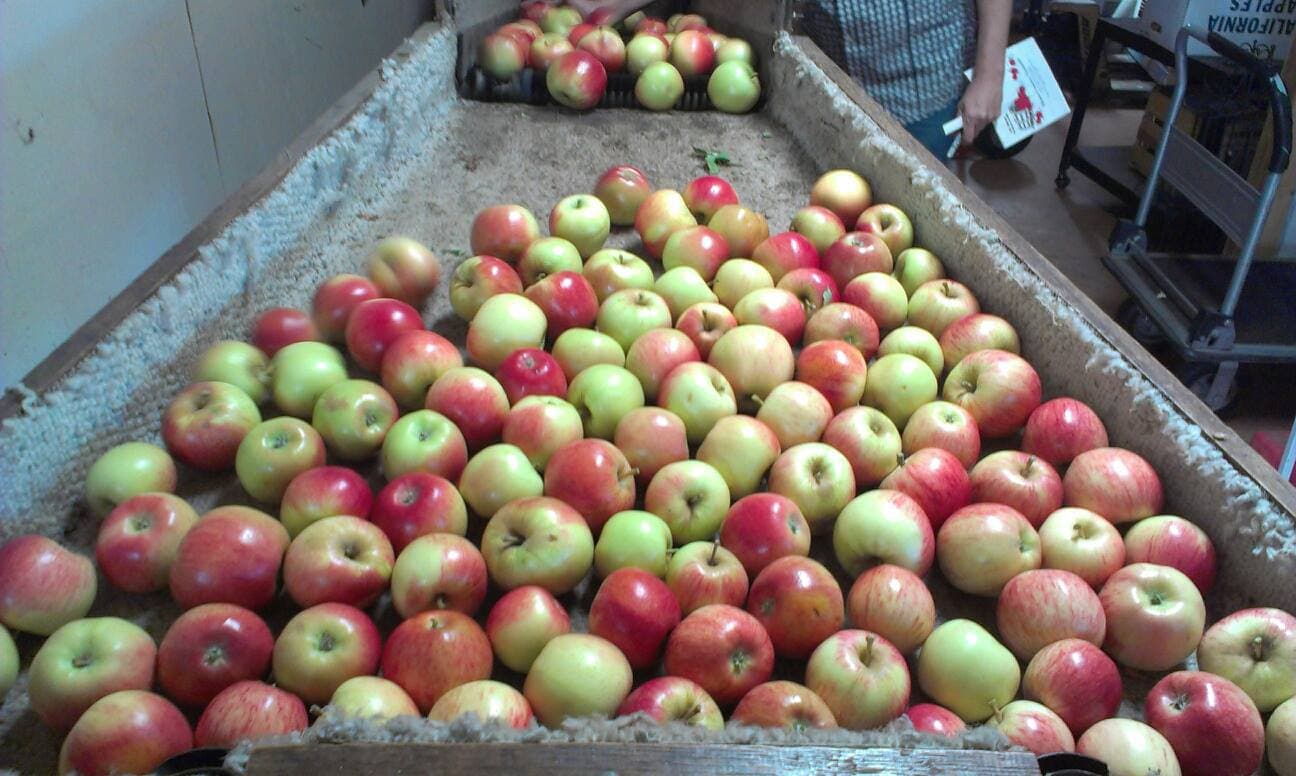 Mom's Country Orchards — photo 2